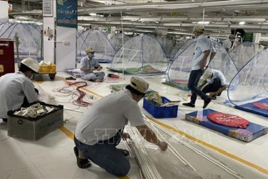 TP. Hồ Chí Minh: Đưa 5-10% doanh nghiệp hoạt động trở lại trong điều kiện an toàn