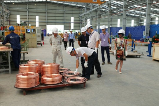 VCCI: Một số quy định về biểu thuế xuất nhập khẩu hạn chế khả năng cạnh tranh của doanh nghiệp Việt