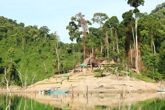 Thành lập Ban Quản lý Vườn Quốc gia Sông Thanh