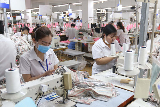 Kim ngạch xuất nhập khẩu hàng hóa tháng 8 đạt 53,7 tỷ USD