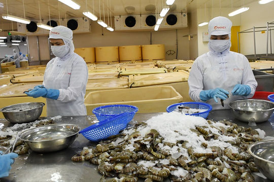 Cà Mau dự kiến tốc độ tăng thu ngân sách đạt 7,65%/năm giai đoạn 2022-2024