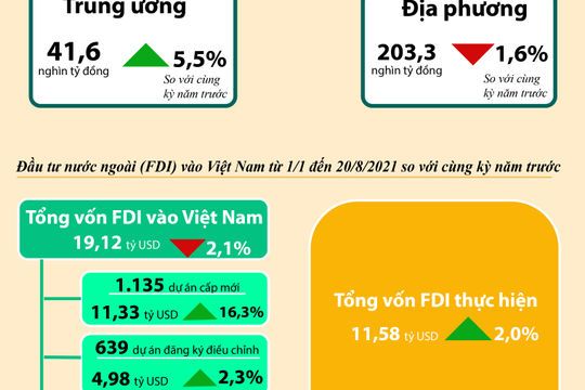 Infographic - Tình hình kinh tế  - xã hội 8 tháng năm 2021