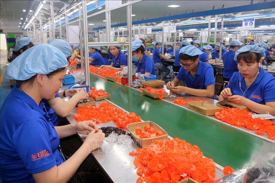 Phát huy hiệu quả của chính sách bảo hiểm thất nghiệp