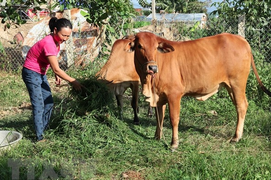 Hà Nội xác định các tiêu chí đo lường nghèo đa chiều