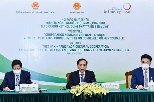 Nâng cao hiệu quả hợp tác nông nghiệp Việt Nam - châu Phi