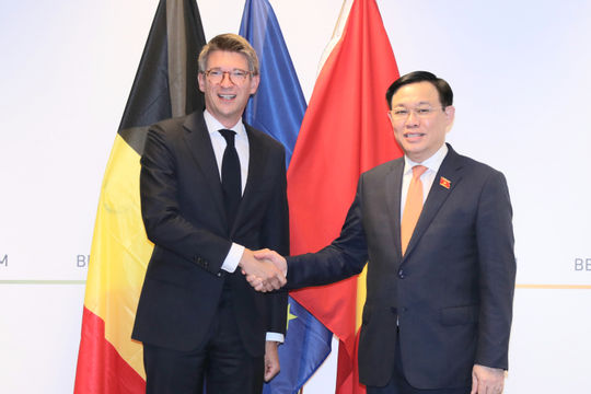 Tiếp tục đưa quan hệ Việt Nam - Bỉ phát triển thực chất và toàn diện