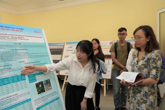 Công bố danh sách cơ sở, chương trình giáo dục đại học đạt tiêu chuẩn chất lượng