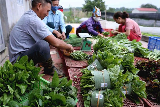 Giải thể dứt điểm các hợp tác xã không còn hoạt động