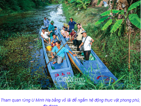 Cà Mau tái khởi động và xây dựng kế hoạch phát triển du lịch năm 2022