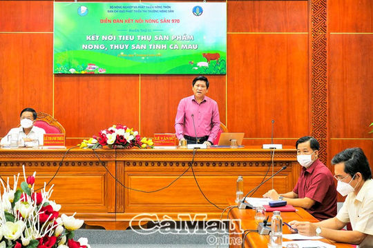 Cà Mau: Lập chuỗi liên kết, đưa sản phẩm vào hệ thống bán lẻ