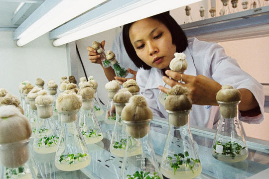 Phát triển công nghiệp sinh học ngành công thương theo chuỗi giá trị, thân thiện với môi trường