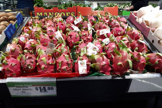 Xuất khẩu thanh long sang Australia tăng trưởng mạnh