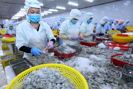 GDP quý III/2021 giảm sâu nhất kể từ khi công bố GDP theo quý GDP quý III/2021 giảm sâu nhất kể từ khi công bố GDP theo quý