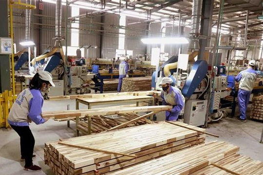 9 tháng năm 2021, xuất khẩu lâm sản đạt gần 12 tỷ USD