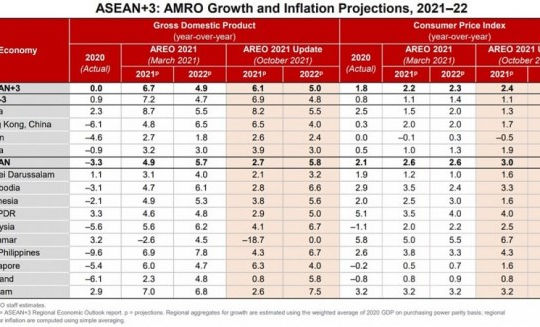 AMRO dự báo tăng trưởng của Việt Nam sẽ ở mức 2,6% trong năm 2021