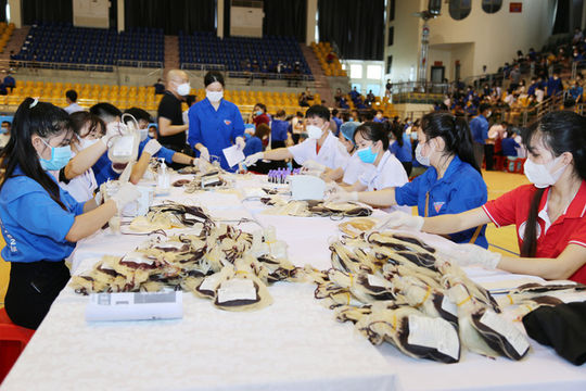 Gần 750 đơn vị máu tại Chương trình “Giọt máu nghĩa tình vì miền Nam ruột thịt”