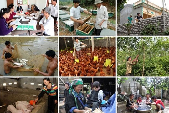 Đẩy mạnh thực hiện các chính sách giảm nghèo bền vững