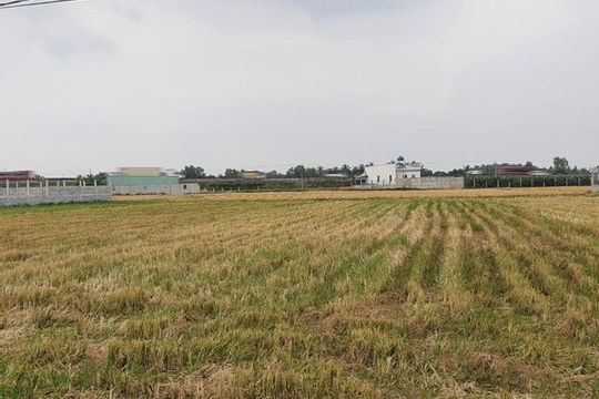 Chuyển mục đích sử dụng gần 30 ha đất lúa tại Trà Vinh