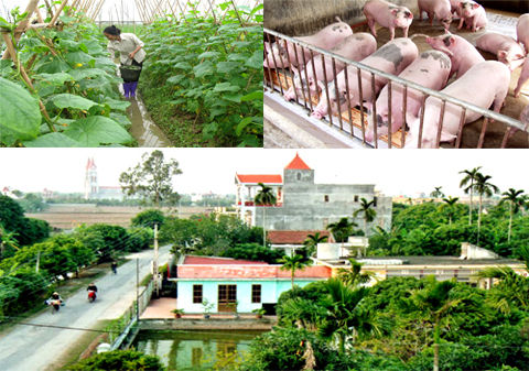 3 địa phương đạt chuẩn nông thôn mới 3 địa phương đạt chuẩn nông thôn mới