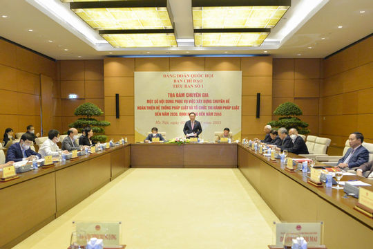 Tham vấn chuyên gia về chiến lược xây dựng và tổ chức thi hành pháp luật Tham vấn chuyên gia về chiến lược xây dựng và tổ chức thi hành pháp luật