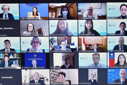 Đề cử Việt Nam là Đồng Chủ tịch Chương trình quốc gia Đông Nam Á của OECD