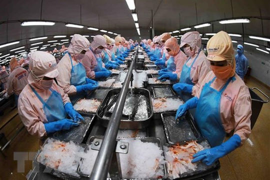 Ngành nông nghiệp cần đổi mới mạnh mẽ hơn nữa để phát triển bền vững