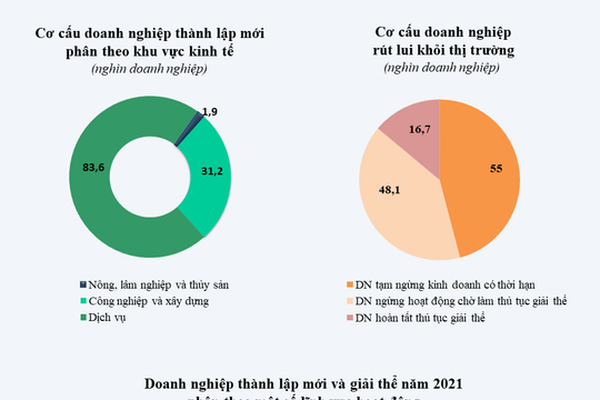 Infographic - Tình hình hoạt động doanh nghiệp năm 2021 Infographic - Tình hình hoạt động doanh nghiệp năm 2021