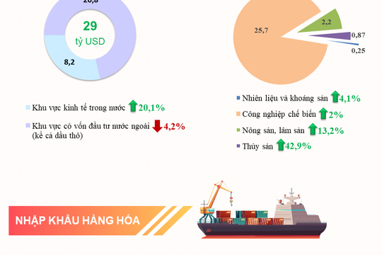 Infographic - Tình hình xuất nhập khẩu hàng hóa tháng 01/2022