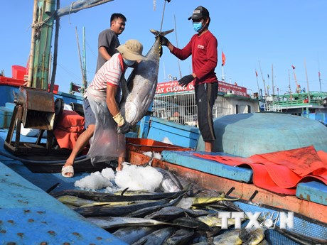 Định hướng phát triển tiềm năng và lợi thế của tỉnh Khánh Hòa đến năm 2030 Định hướng phát triển tiềm năng và lợi thế của tỉnh Khánh Hòa đến năm 2030
