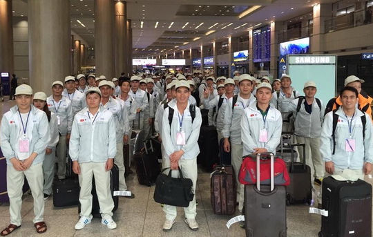 Cảnh báo lừa đảo lao động đi làm việc thời vụ tại Hàn Quốc