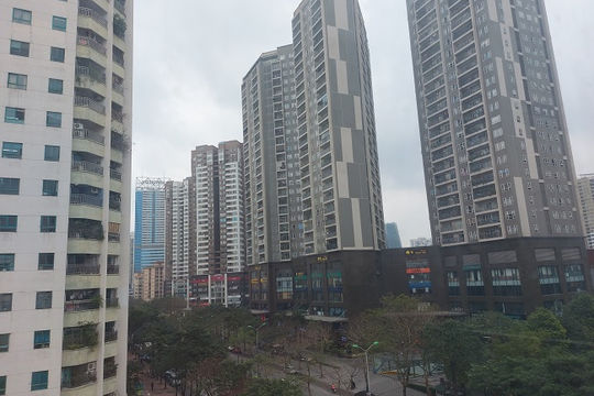 HoREA: Đấu giá đất rồi bỏ cọc gây ra nhiều hệ lụy tiêu cực cho thị trường bất động sản