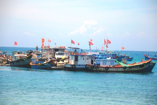 Cần cân nhắc một số quy định xử phạt vi phạm hành chính trong lĩnh vực thủy sản Cần cân nhắc một số quy định xử phạt vi phạm hành chính trong lĩnh vực thủy sản