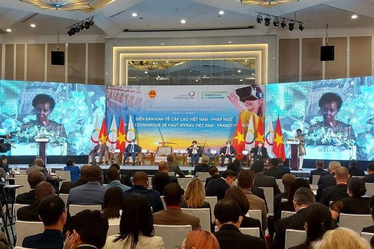 Nhiều dư địa hợp tác giữa doanh nghiệp Việt Nam và doanh nghiệp khối Pháp ngữ Nhiều dư địa hợp tác giữa doanh nghiệp Việt Nam và doanh nghiệp khối Pháp ngữ