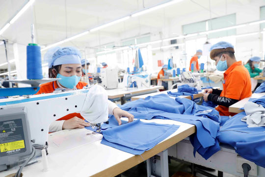 Hỗ trợ 1 triệu đồng/tháng tiền thuê nhà đối với người lao động quay trở lại thị trường