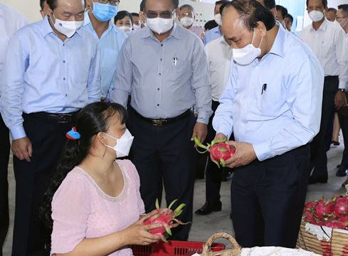 Phát triển kinh tế tập thể, hợp tác xã có ý nghĩa chiến lược trong nền kinh tế