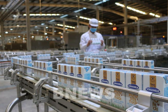 Thương hiệu quốc gia Việt Nam phát triển bền vững trong hội nhập quốc tế Thương hiệu quốc gia Việt Nam phát triển bền vững trong hội nhập quốc tế