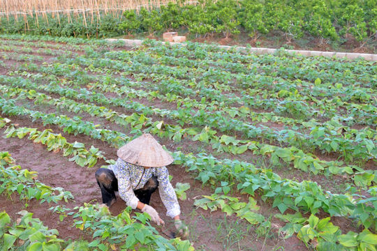 Phục hồi, phát triển kinh tế sau đại dịch Covid-19: "Đòn bẩy" từ chính sách tài khóa