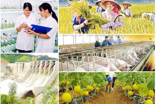 Giao dự toán thực hiện 3 chương trình mục tiêu quốc gia trước ngày 1/7