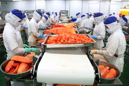 Hỗ trợ doanh nghiệp xuất khẩu nông sản, thực phẩm với thị trường RCEP Hỗ trợ doanh nghiệp xuất khẩu nông sản, thực phẩm với thị trường RCEP