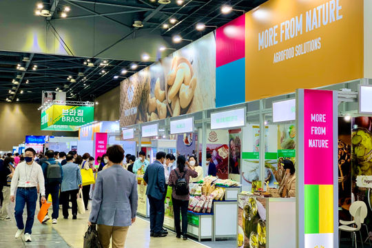 Xúc tiến thương mại cho doanh nghiệp Việt tại Hàn Quốc Xúc tiến thương mại cho doanh nghiệp Việt tại Hàn Quốc