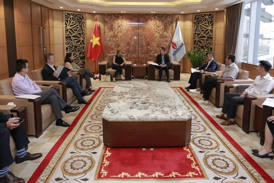 Thúc đẩy hợp tác với Microsoft trong lĩnh vực công nghệ thông tin