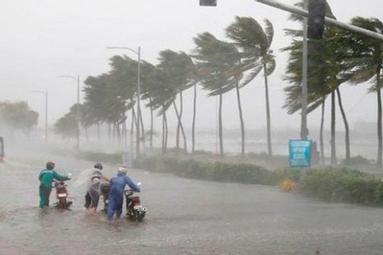 Tập trung ứng phó bão số 1 và mưa lũ