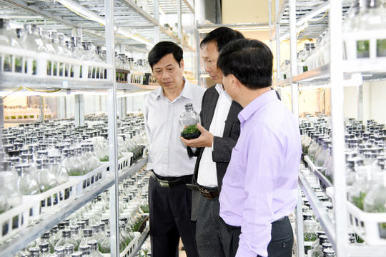 Tăng cường liên kết, thúc đẩy đổi mới sáng tạo, xây dựng chuỗi giá trị nông nghiệp