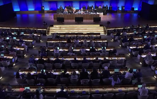 Việt Nam trúng cử vào Ủy ban liên Chính phủ Công ước Bảo vệ di sản văn hoá phi vật thể của UNESCO