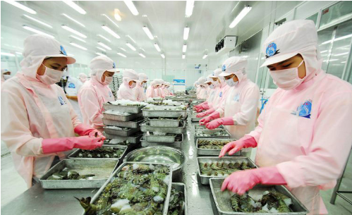 Bức tranh kinh tế của Cà Mau đang dần tỏa sáng trở lại