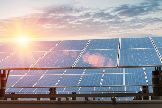 Việt Nam có dự án cho thuê sinh thái đầu tiên theo Cơ chế tín chỉ chung