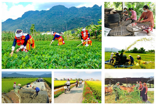 Khẩn trương hoàn thành giải ngân vốn 3 Chương trình mục tiêu quốc gia Khẩn trương hoàn thành giải ngân vốn 3 Chương trình mục tiêu quốc gia