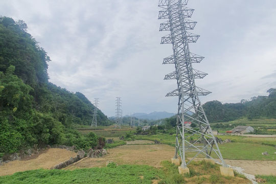 Quyết tâm hoàn thành Dự án đường dây 220kV Bắc Giang - Lạng Sơn không muộn hơn tháng 9/2022
