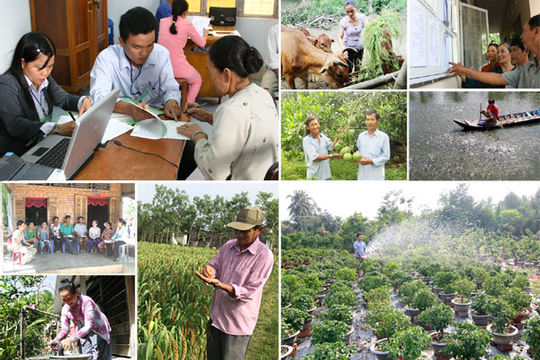 Thúc đẩy tín dụng nông nghiệp, nông thôn vùng Đồng bằng sông Cửu Long