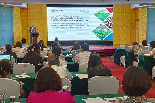Xây dựng và bảo hộ nhãn hiệu để thương hiệu nông sản Việt vươn xa